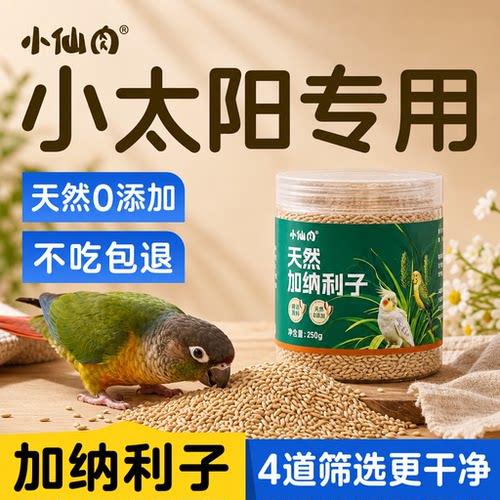 加纳利子小太阳鹦鹉粮