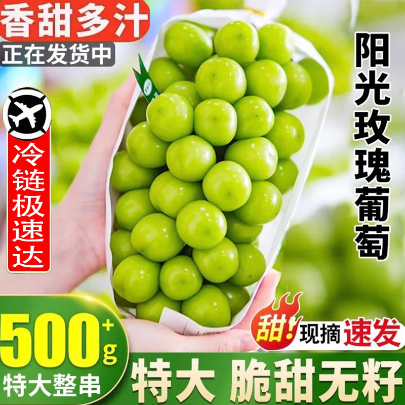 冷链运输阳光玫瑰晴王葡萄应季水果无籽香印青提子现摘现发