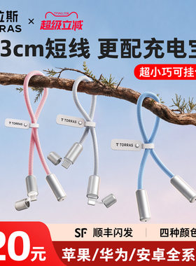 【充电宝专用】低温快充短线