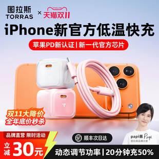 45W适用苹果充电器线17ProMax手机17Air正品 图拉斯小冰块lite新款 16快充头一套40W数据线typec papi酱同款