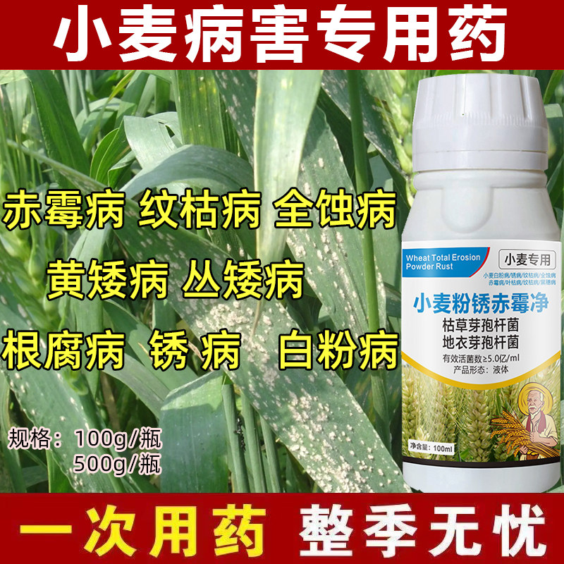 小麦杀菌剂病害专用药锈病纹枯病白粉病黑穗病全蚀病根腐病专用药