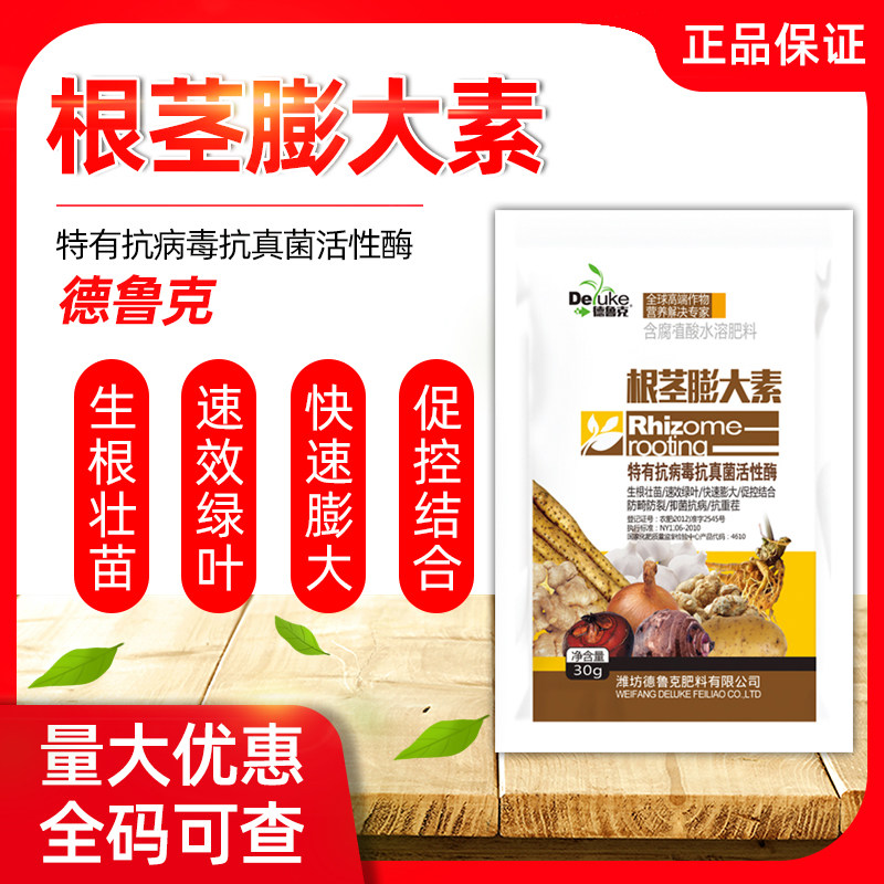 地下猛长地下根茎膨大素土豆莲藕生姜蒜芋头红薯荸荠萝卜等地下茎