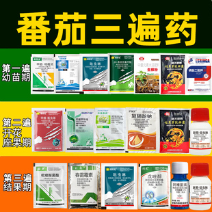 番茄三遍药番茄病菌清杀菌剂西红柿防裂腐烂炭疽灰霉卷叶病专用药