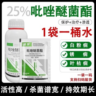 25%吡唑醚菌酯果树药叶斑病霜霉炭白粉疽病病农药 杀菌剂