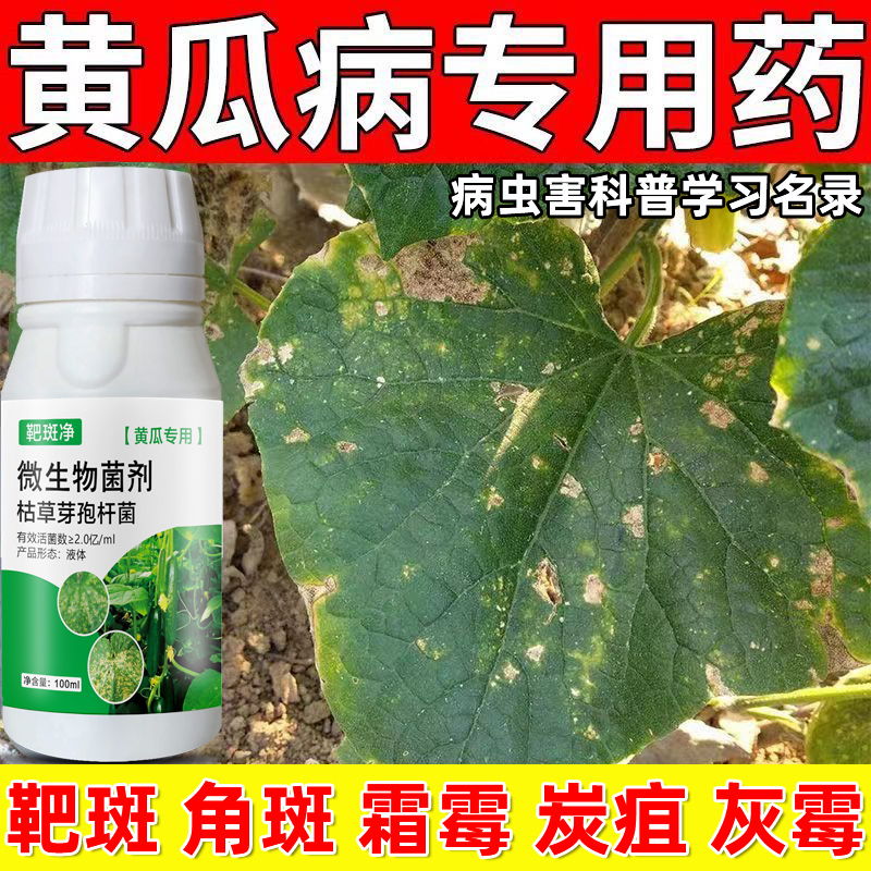 黄瓜病治疗黄瓜专用药黄瓜杀菌剂叶面肥黄瓜靶斑褐斑叶枯炭疽灰霉