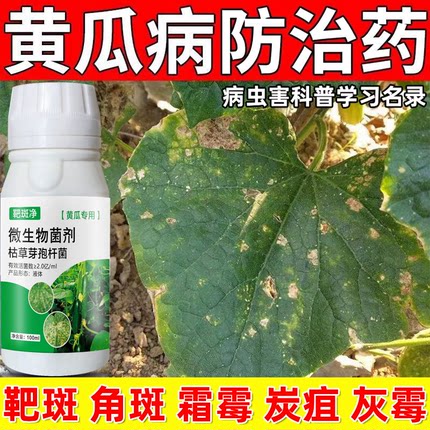 黄瓜病防治黄瓜药黄瓜叶面肥黄瓜靶斑褐斑叶枯炭疽灰霉病正品