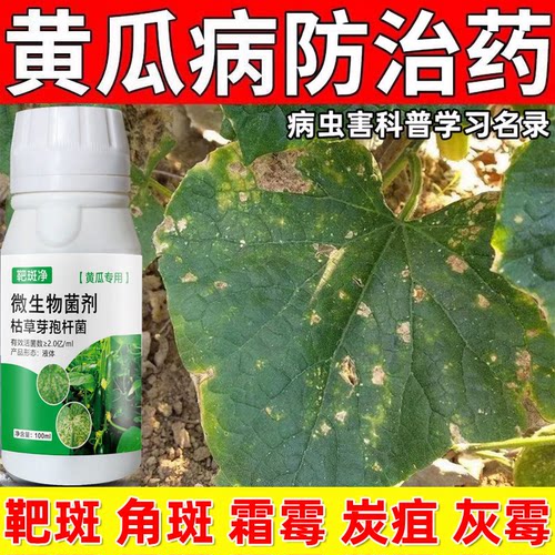 黄瓜杀菌剂靶斑褐斑叶枯炭疽灰霉
