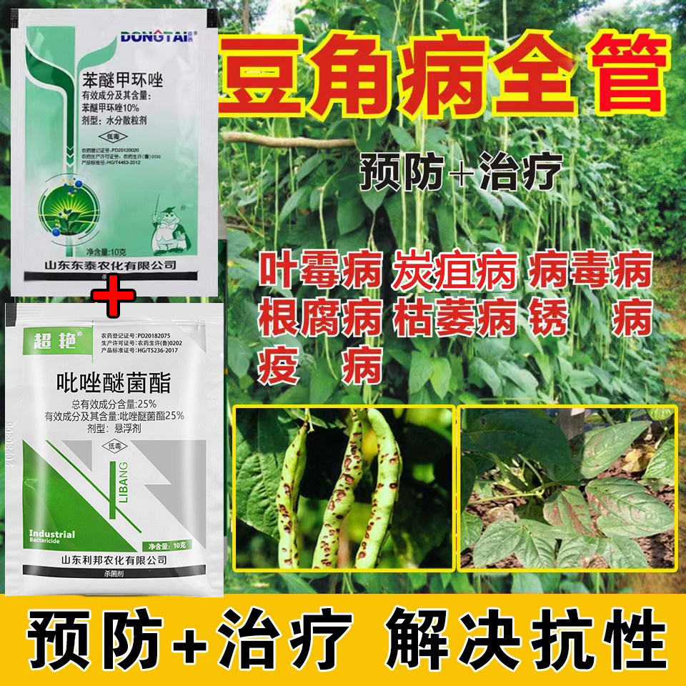豆角锈病杀菌剂豆角锈病白粉病根腐病疫病灰斑病药豆角杀菌药