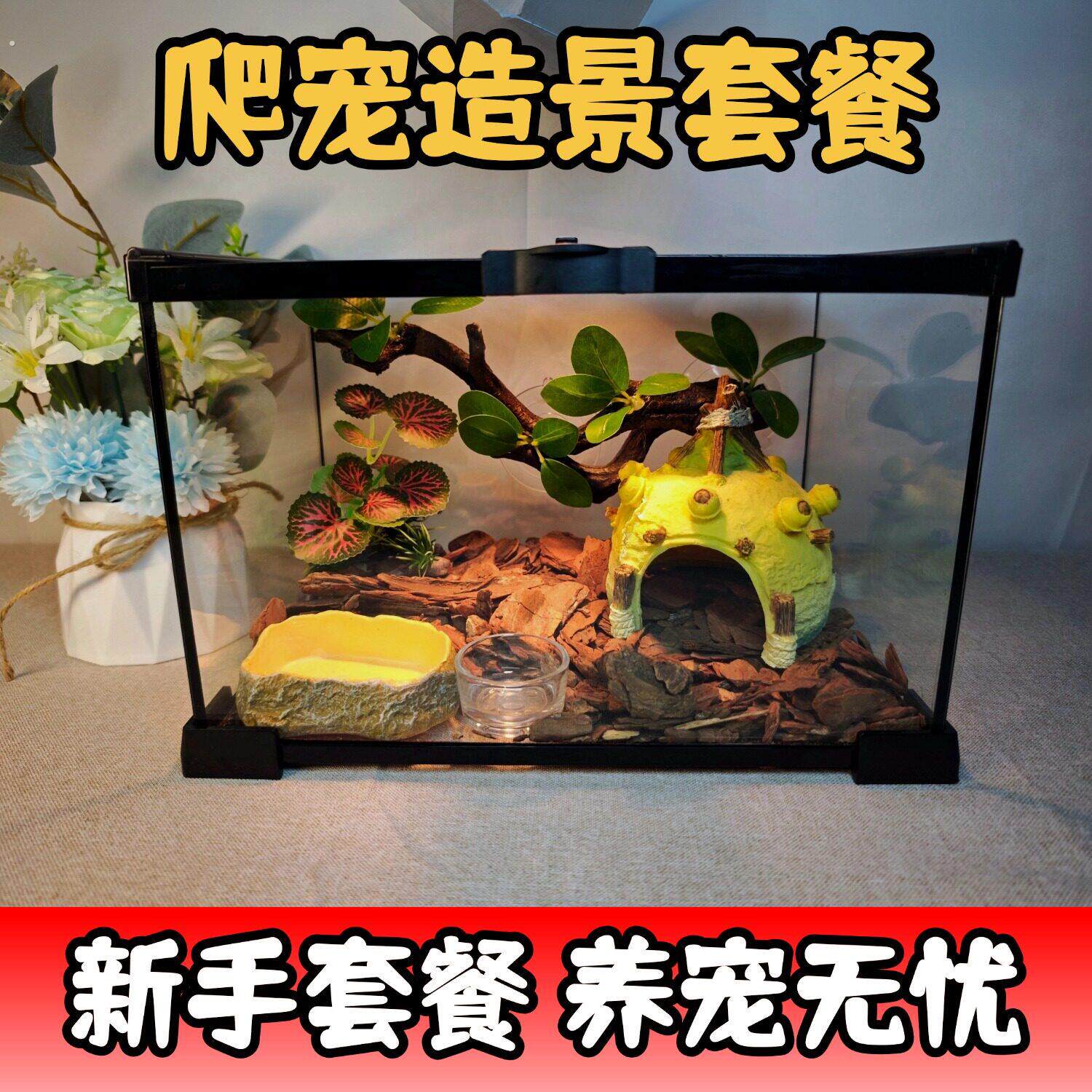 豹纹守宫饲养套装肥尾豹猫守宫宠物蛇玻璃缸饲养新手入门懒人套餐