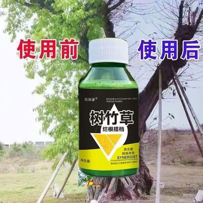 毒树王大树烂根药大树一滴死强力树枯死专用药竹子灌木除根一扫光