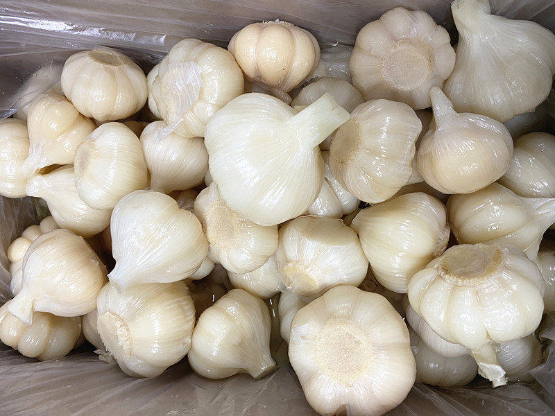 包邮 白玉糖蒜 毛重16斤羊肉泡馍馆火锅饭店专用白糖蒜 酸甜脆