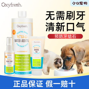 美国氧亲新Oxyfresh洁齿水狗狗漱口水猫咪除口臭去牙结石牙齿清洁