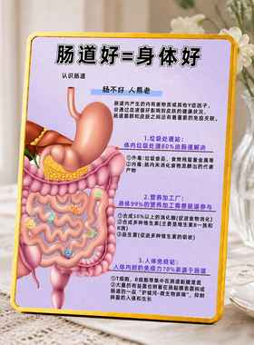 肠道好=身体好养生知识宣传装饰摆件养生馆美容院桌面摆台