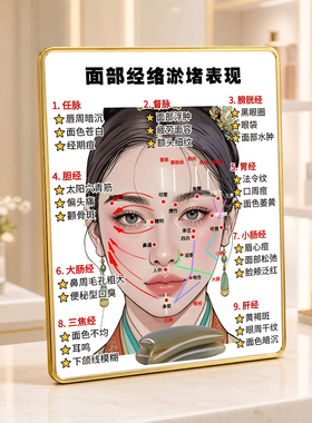 面部经络淤堵表现美容院店内展示桌面摆件