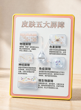 美容院皮肤五大自然屏障科普摆件医美机构桌面装饰展示立牌