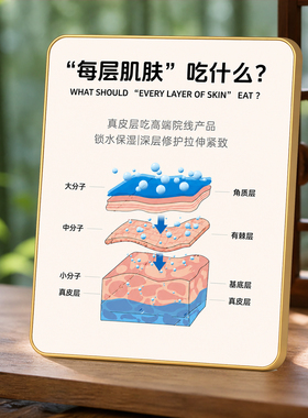 每层肌肤吃什么摆台皮肤管理店美容室装饰摆件宣传展示牌
