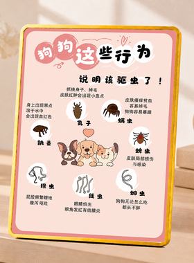 狗狗驱虫提醒摆台宠物店宠物馆桌面装饰摆件养宠知识科普