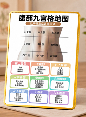 腹部九宫格地图摆台肚子疼痛位置对照表养生馆诊所桌面装饰摆件