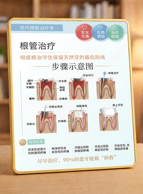 口腔诊所根管治疗步骤展示摆台牙科诊室宣传科普装饰摆件