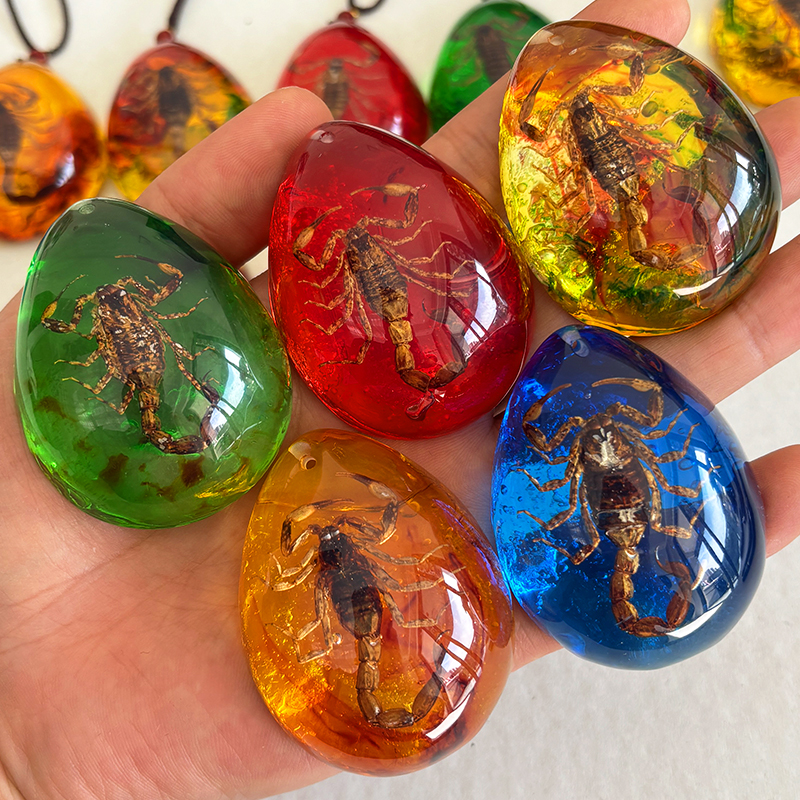 树脂密封真蝎子昆虫琥珀标本化石