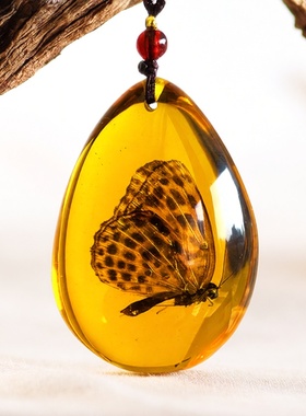 树脂密封昆虫琥珀标本人造虫珀