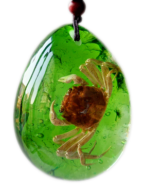 纯天然真螃蟹标本昆虫琥珀饰品