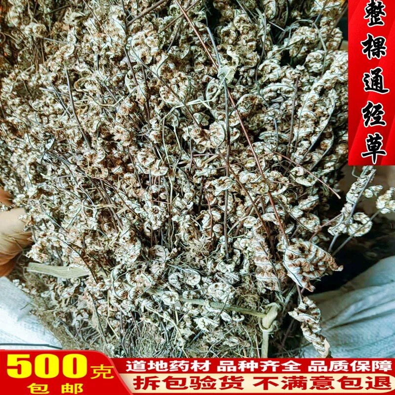 通经草中药材 铜丝草 止惊草 金线铜皮 分经草 铁骨草500克包邮
