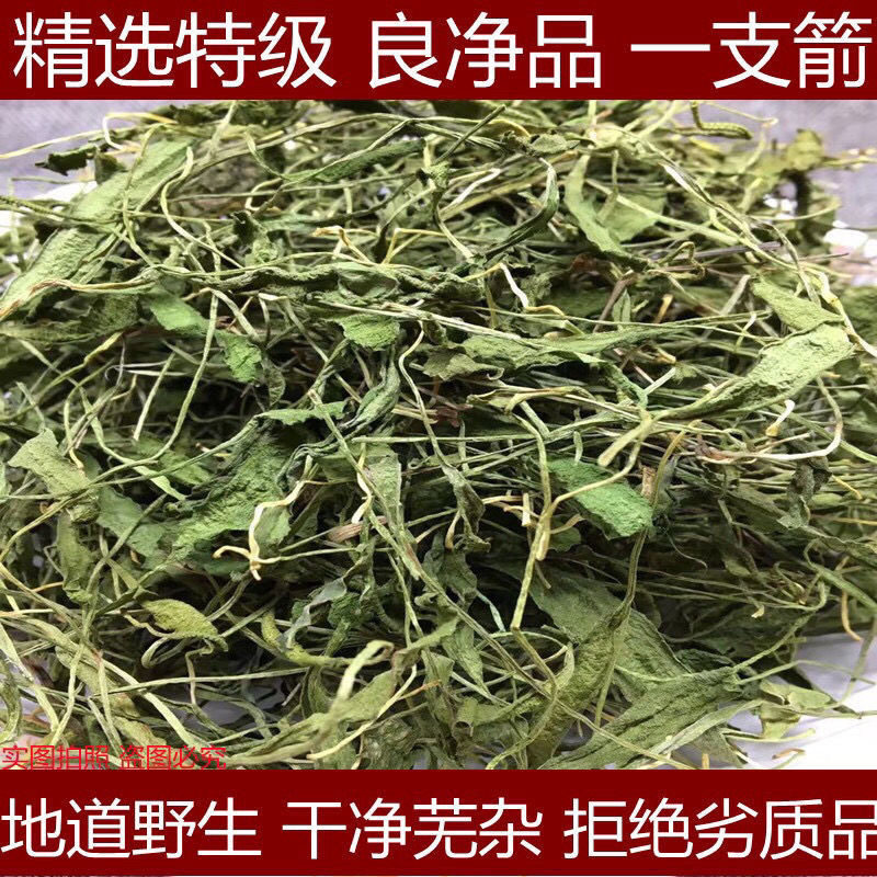 长白山野生一支箭中药材500g一枝箭中草药材蛇须草蛇咬子