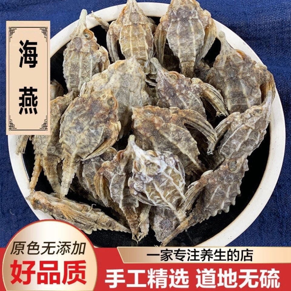 【优质海燕】北海正品海麻雀海燕子海龙中药干货泡酒药材滋补煲汤