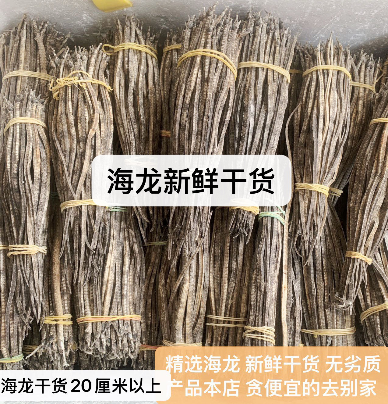 野生大刁六角海龙足干渔民捕捞海产干货 煲汤滋补中药材泡酒料