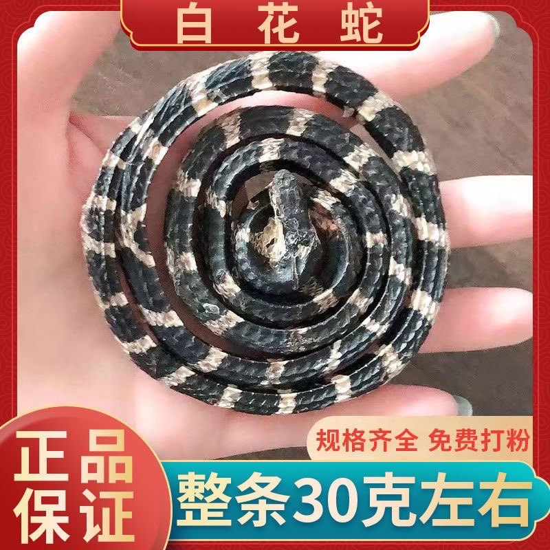 白花蛇整条泡酒料百花蛇金钱白花蛇有蕲蛇眼镜蛇蝮蛇泥蛇蜈蚣全蝎