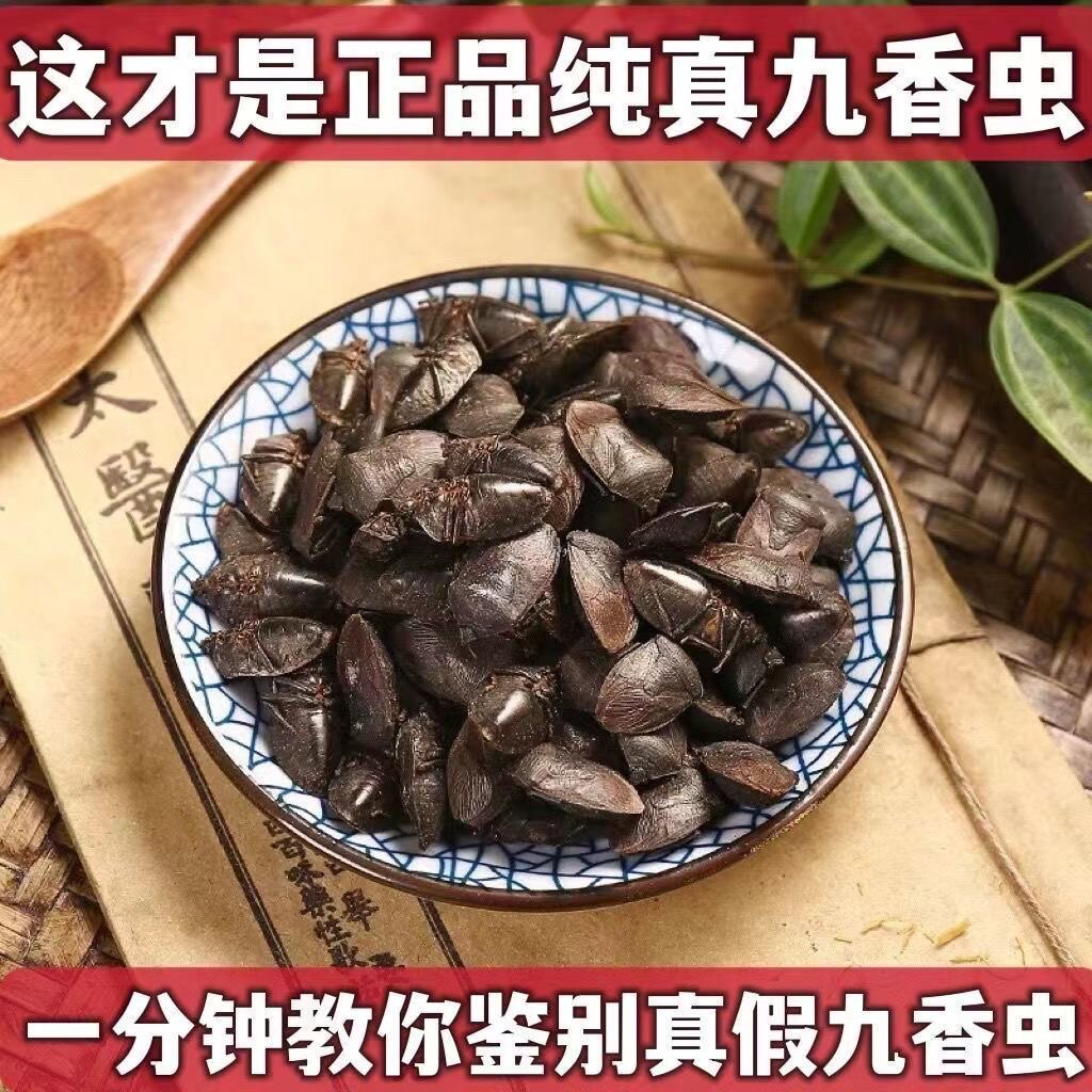 九香虫 野生黑兜虫蜣螂虫打屁虫屁巴虫瓜黑蝽中药材大九香虫100克