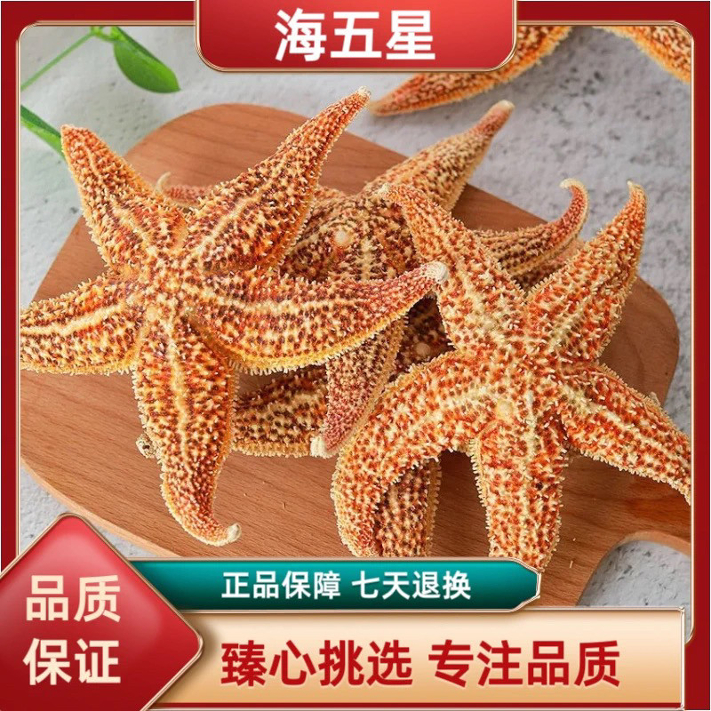 海星 中药材新货大海星500g 海盘 海五星干货泡酒煮汤料包邮