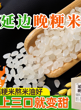 东北延边大米正宗晚稻粳米一级真空圆粒天然香梗米新米珍珠米5斤