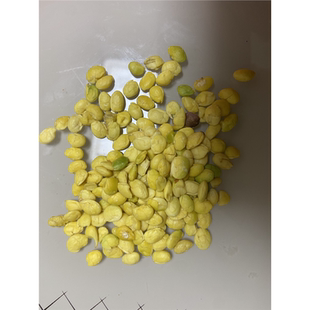 元宝枫籽米   元宝枫种子去壳去皮植物神经酸