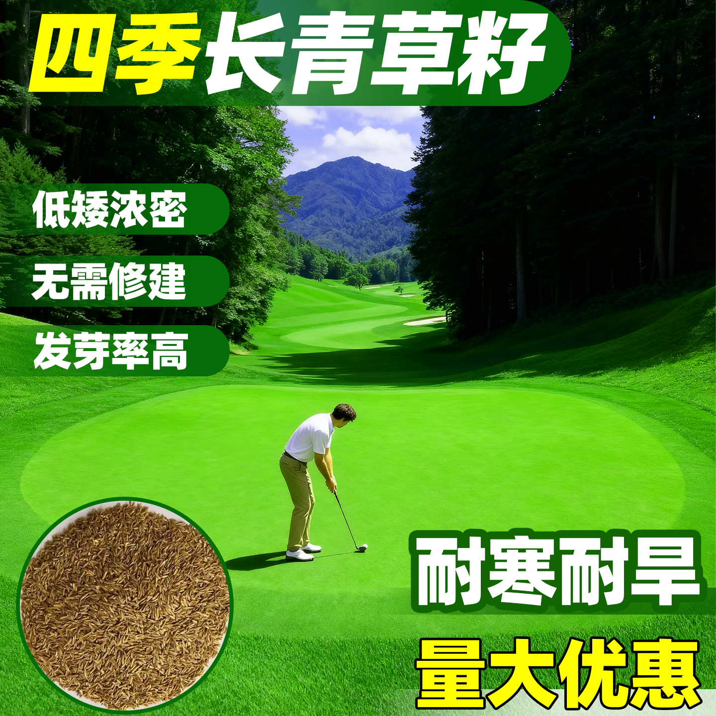 草坪草籽四季常青黑麦草护坡绿化狗牙根马尼拉庭院地毯草皮草种子