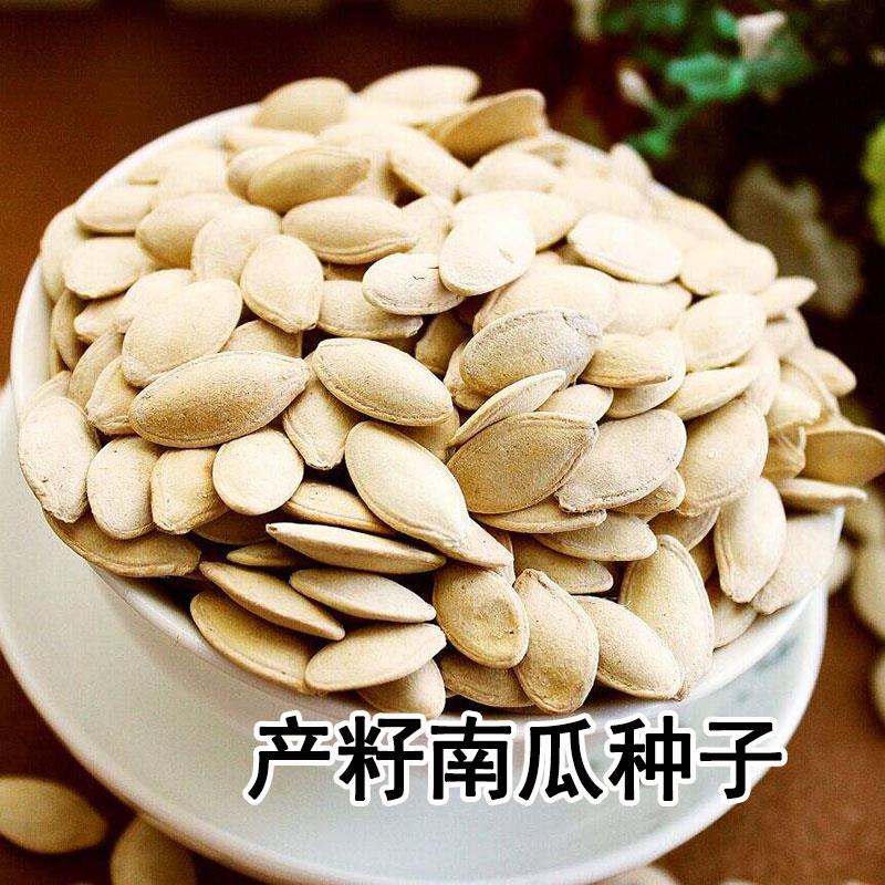多籽南瓜种子专门产籽高产种籽孑食用籽用西葫芦大粒多白瓜子种