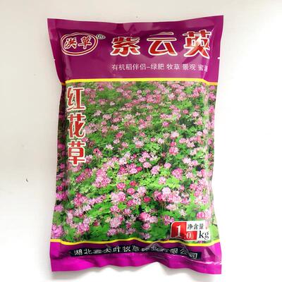 固氮红花紫云英种子可食用养蜂果园绿肥蜜源高产园林景观草籽植物