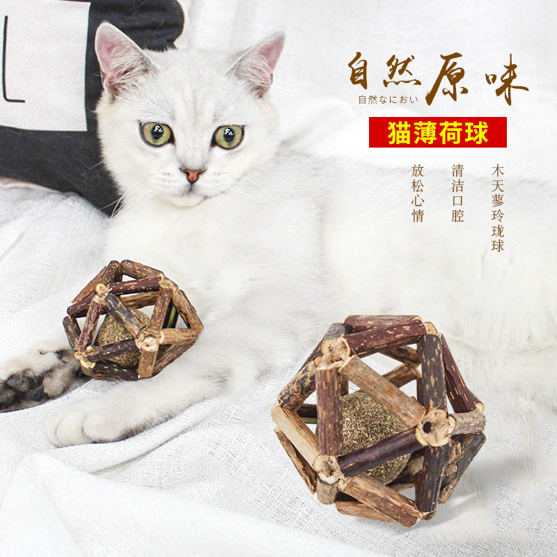 猫咪玩具球 木天蓼玲珑球 内含猫薄荷滚动球 逗猫玩具 宠物猫6 - 实物图