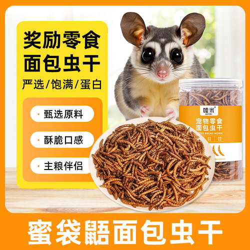蜜袋鼯专用面包虫干粮食