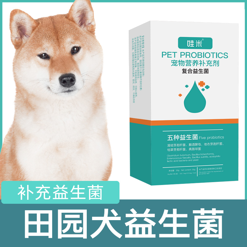 中华田园犬专用益生菌粉宠物
