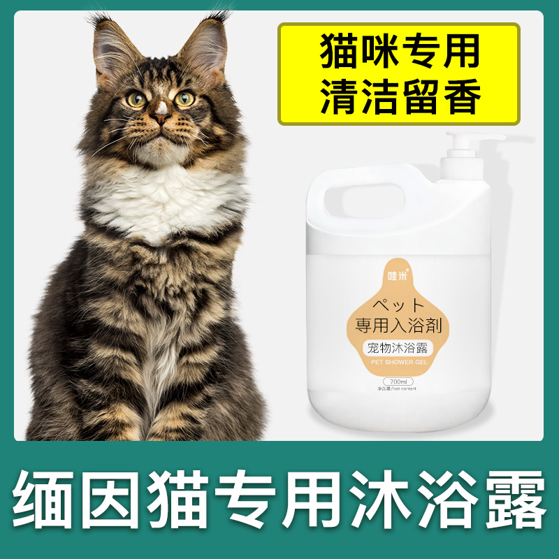 缅因猫专用沐浴露柔顺宠物洗澡大桶香波浴液成幼猫洗护清洁留香