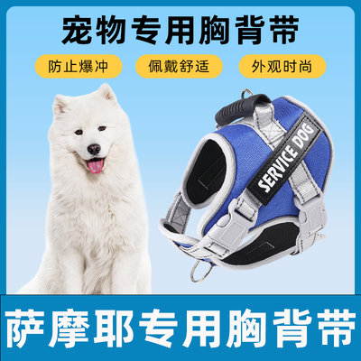 萨摩耶专用牵引绳狗链子自动伸缩