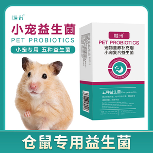 仓鼠专用益生菌粉荷兰猪龙猫通用益生菌粉活性菌消化宝小宠用品