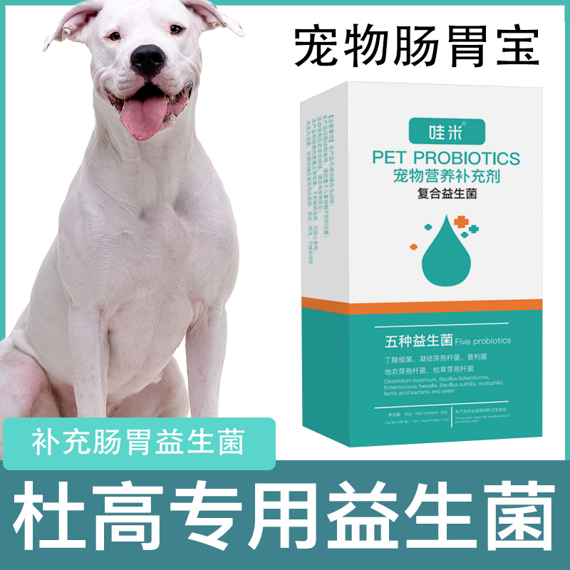 杜高犬专用益生菌粉宠物犬用