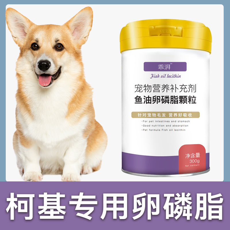 柯基犬专用宠物卵磷脂