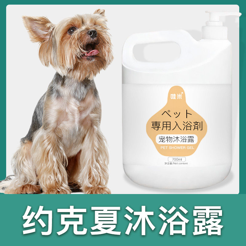 约克夏专用大桶沐浴露柔顺清洁留香宠物成幼犬洗澡狗狗香波浴液,宠物/宠物食品及用品,狗香波浴液,淘宝优惠券,粉丝福利购,淘宝优惠卷