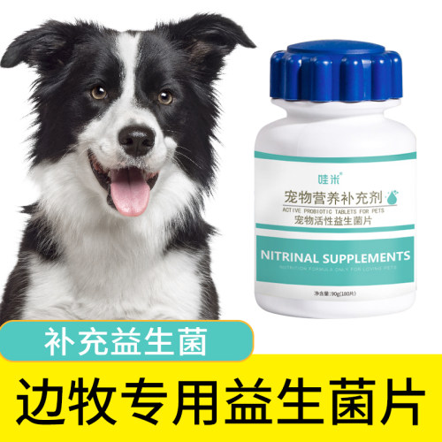 边牧益生菌宠物肠胃消化犬用