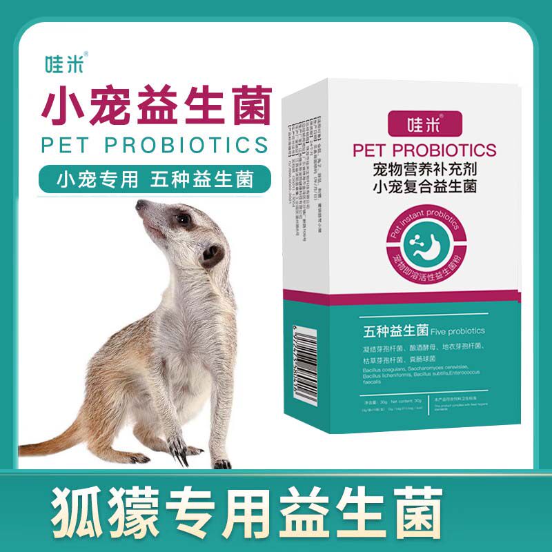 狐獴专用益生菌粉异宠小宠用品保健品肠道活性菌益生元