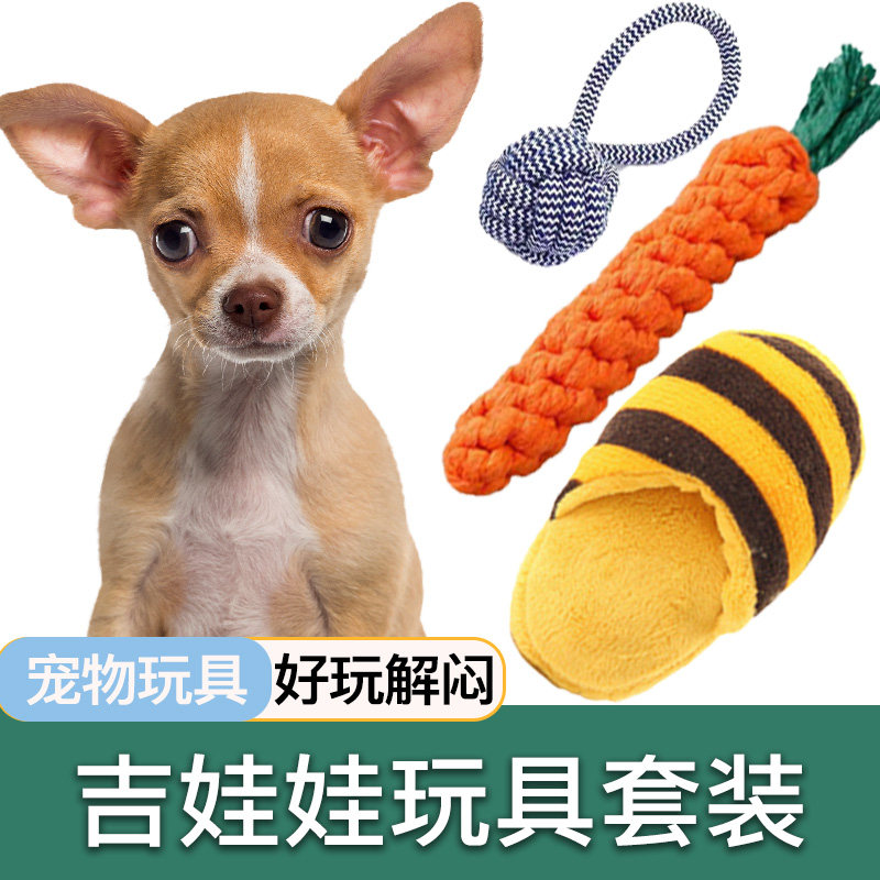 吉娃娃专用玩具套装耐咬发声宠物狗磨牙玩具小型犬解闷幼犬用品